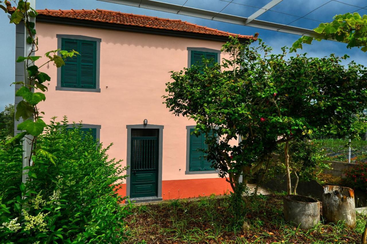 סאו ז'ורז' Os Ferreirinhos, A Home In Madeira מראה חיצוני תמונה