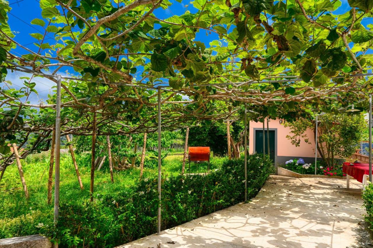 סאו ז'ורז' Os Ferreirinhos, A Home In Madeira מראה חיצוני תמונה
